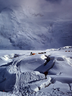 Muldrow Glacier
